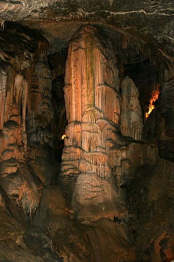 mali rak 2010 285.JPG